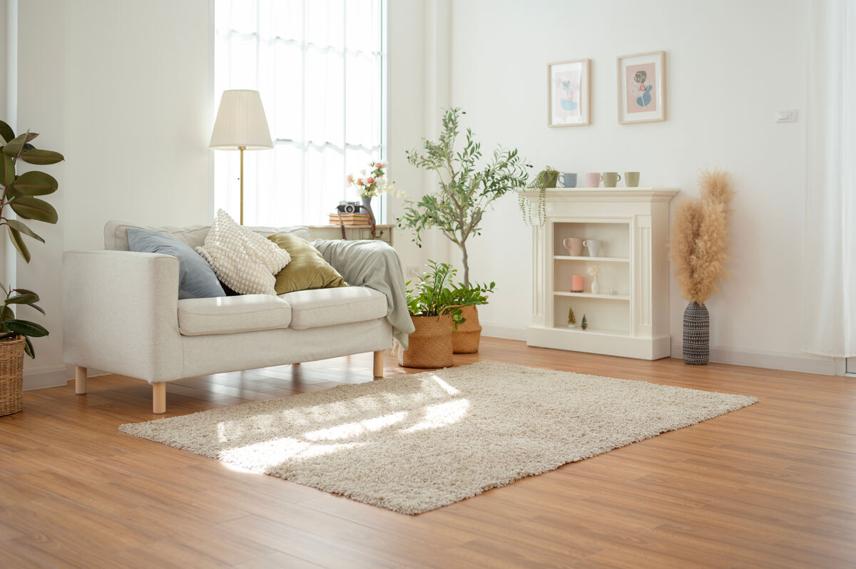 A bright, furnished living room ready for a new tenant